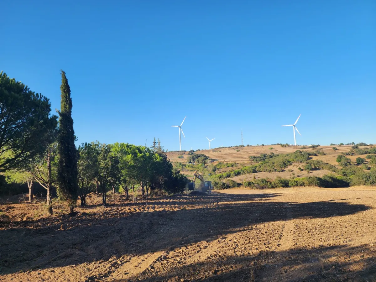 Silivride Orman İçerisinde Acil Satılık Tarla