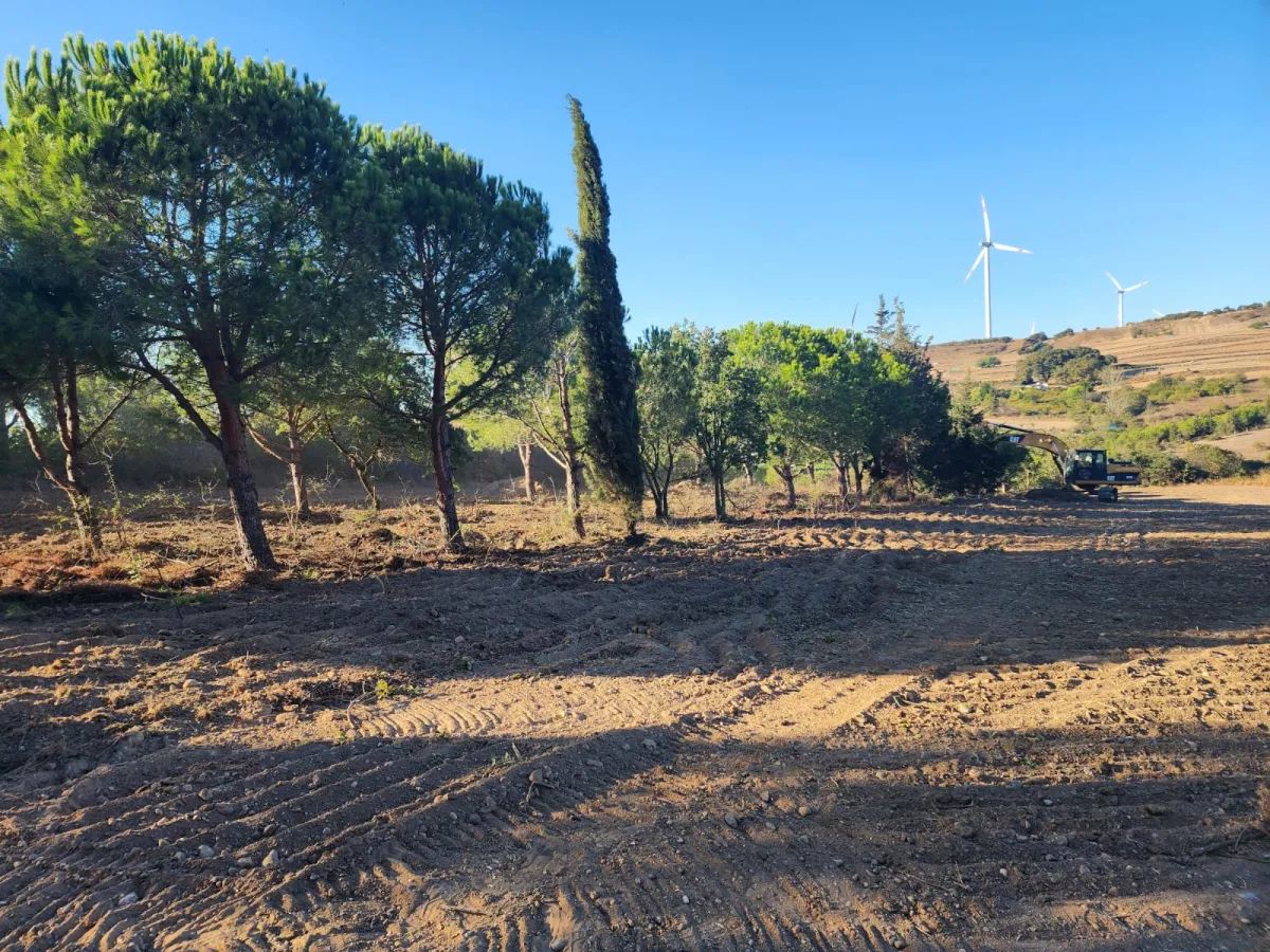 Silivride Orman İçerisinde Acil Satılık Tarla - Büyük 1