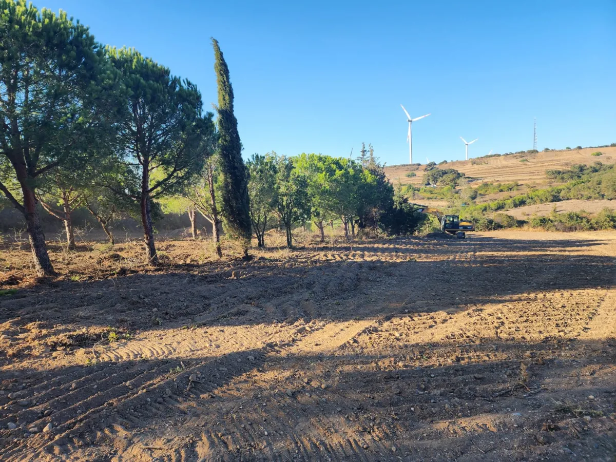 Silivride Orman İçerisinde Acil Satılık Tarla - Büyük 2