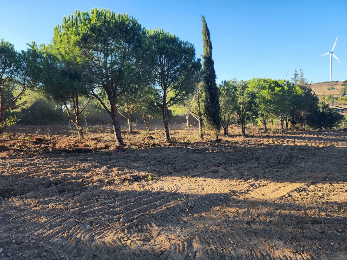 Silivride Orman İçerisinde Acil Satılık Tarla - Büyük 3