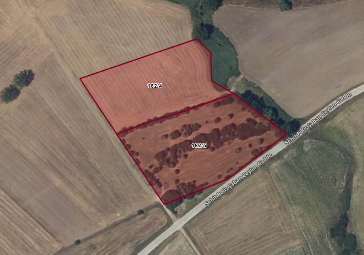Asfalt Yola Cephe 20.125 M² Satılık Tarla - Büyük 1