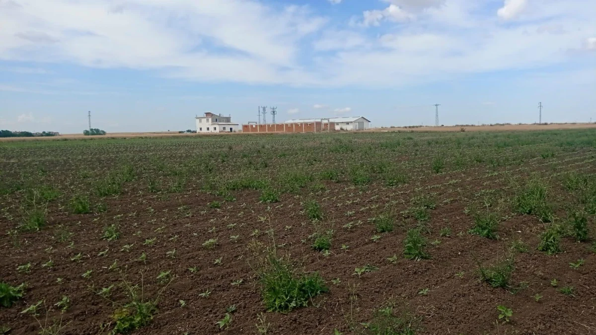 Her Türlü Hayvancılık Yapımına Uygun Satılık Çiftlik - Büyük 1