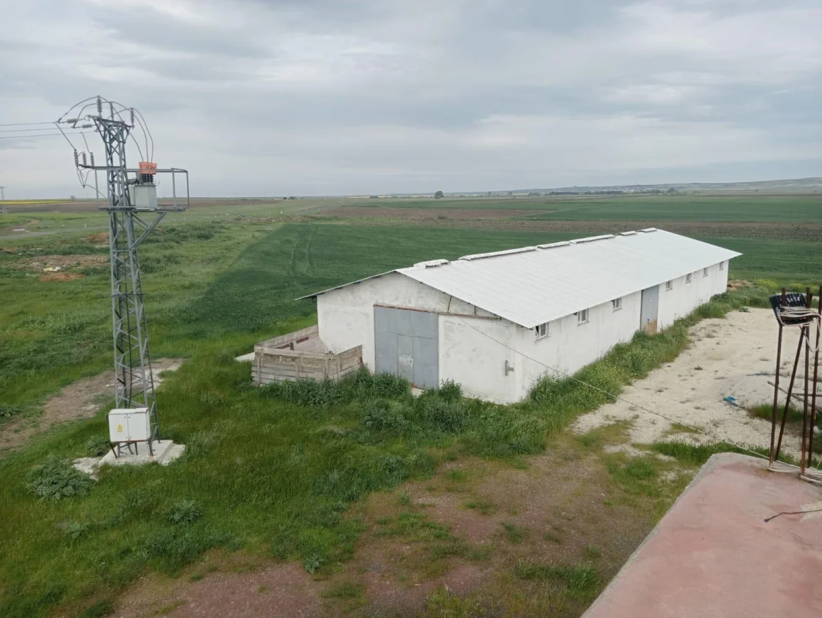 Her Türlü Hayvancılık Yapımına Uygun Satılık Çiftlik - Büyük 2