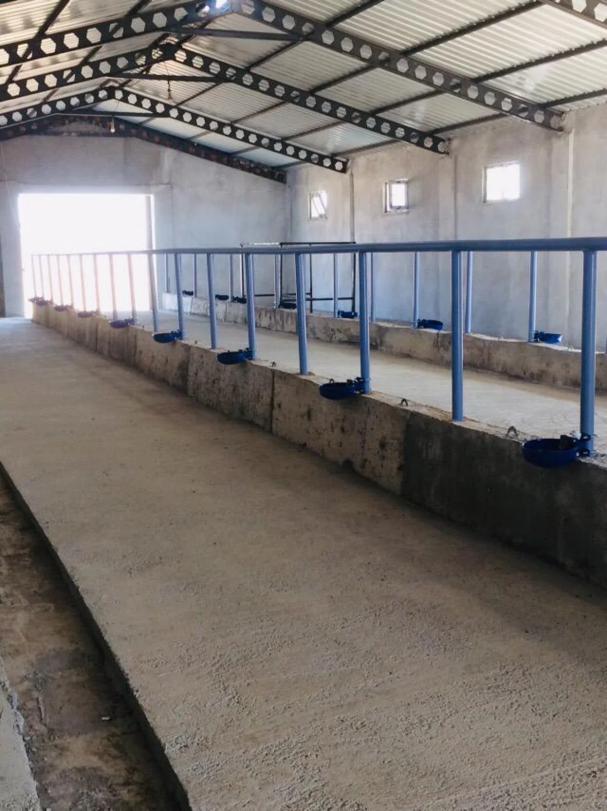 Her Türlü Hayvancılık Yapımına Uygun Satılık Çiftlik - Büyük 5