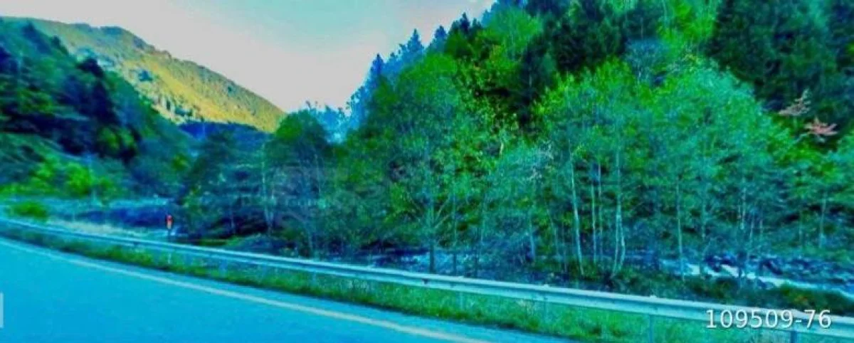 Trabzon Uzungöl Çamlıkta 4.975 m² Turizm ve Konaklama Arazisi - Büyük 5