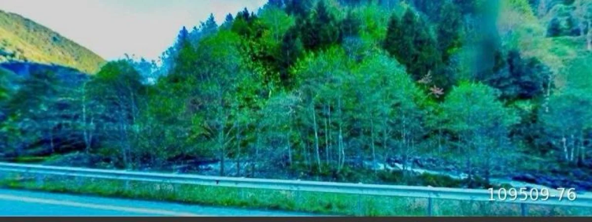 Trabzon Uzungöl Çamlıkta 4.975 m² Turizm ve Konaklama Arazisi - Büyük 6