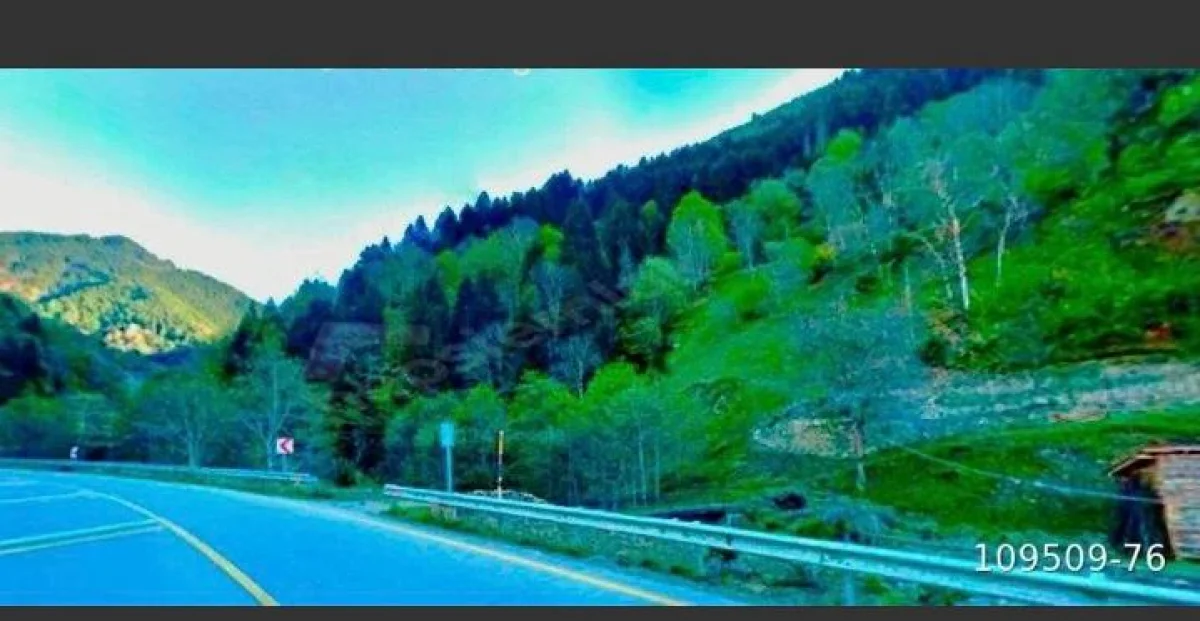 Trabzon Uzungöl Çamlıkta 4.975 m² Turizm ve Konaklama Arazisi - Büyük 8