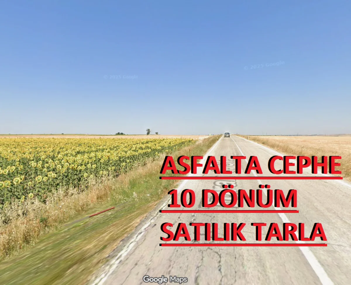 Asfalta Cephe 10 Dönüm Satılık Tarla