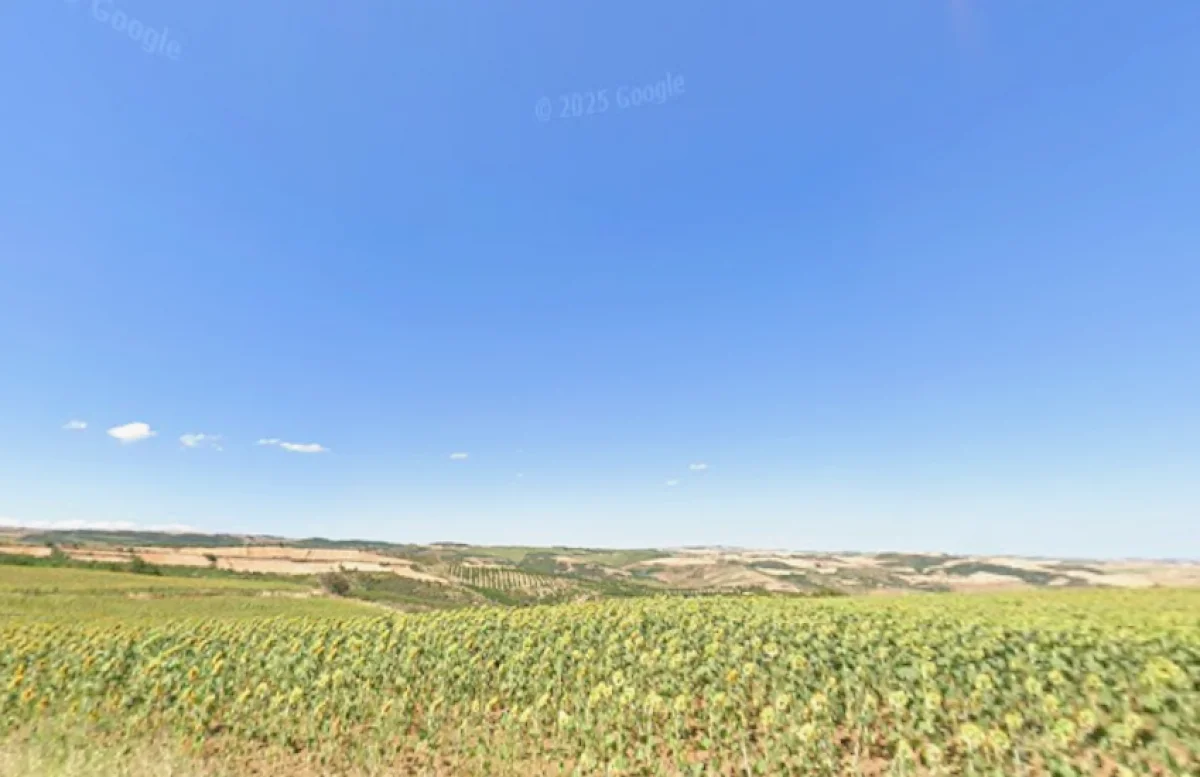 Süleymanpaşada 7.472 M² Satılık Tarla