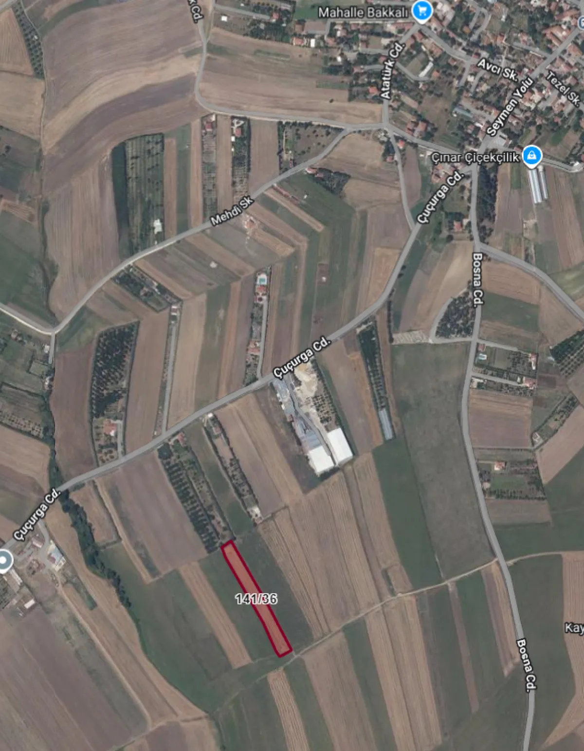 Seymende 6.243 M&sup2; Satılık Tarla - Büyük 1