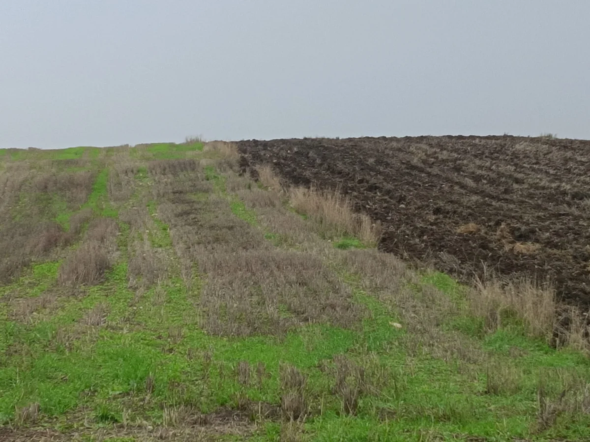 K&ouml;y Yoluna Cephe Satılık 3.294 M&sup2; Tarla - Büyük 5