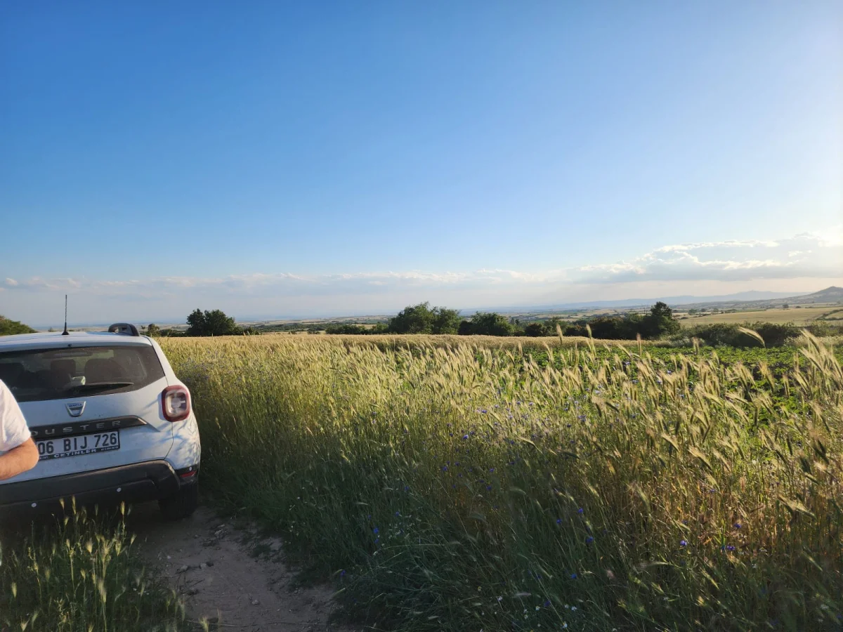 Edirne Lalapaşa K&uuml;&ccedil;&uuml;nl&uuml;\'de Tek Tapu Tarla Ara&ccedil; Takası Olur - Büyük 5
