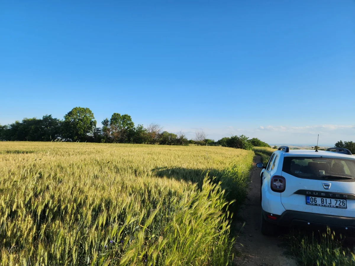 Edirne Lalapaşa K&uuml;&ccedil;&uuml;nl&uuml;\'de Tek Tapu Tarla Ara&ccedil; Takası Olur - Büyük 6