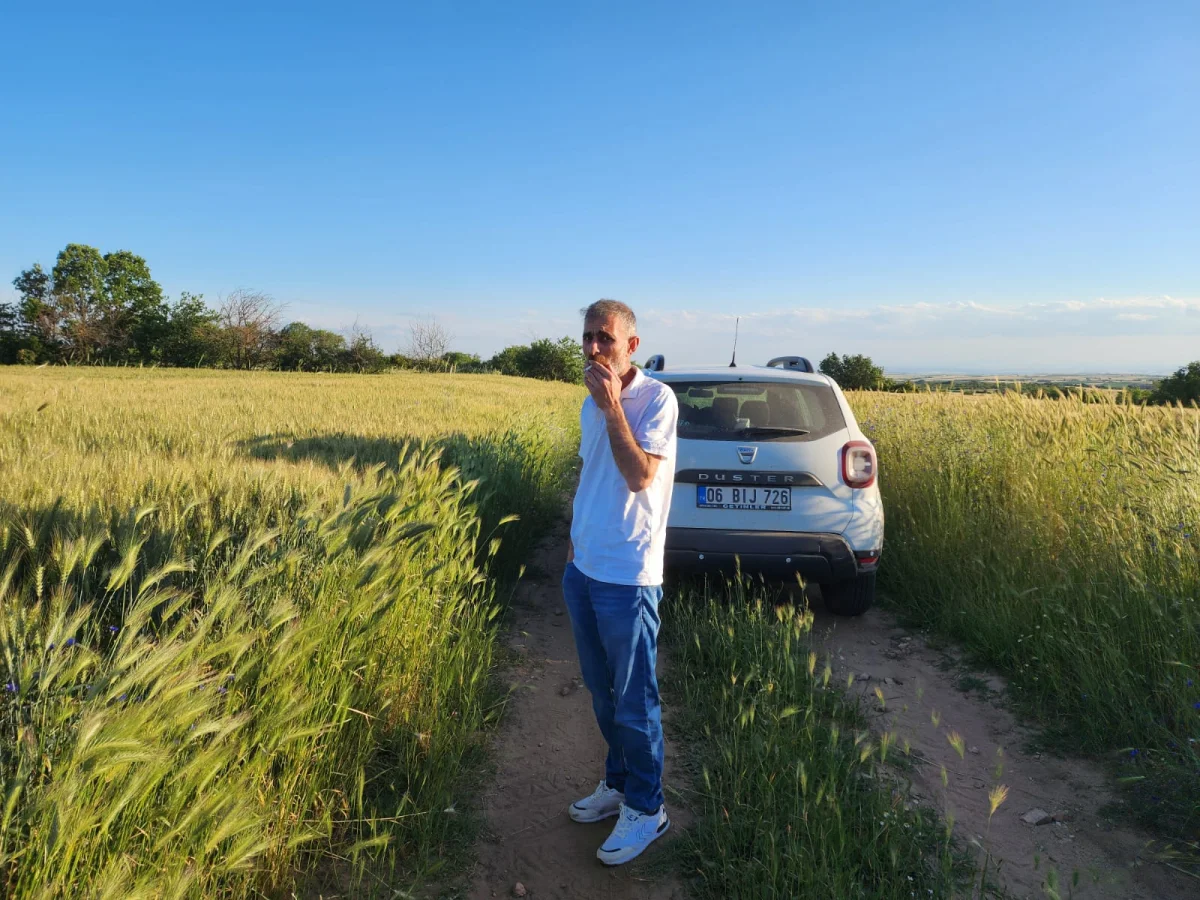 Edirne Lalapaşa K&uuml;&ccedil;&uuml;nl&uuml;\'de Tek Tapu Tarla Ara&ccedil; Takası Olur - Büyük 7
