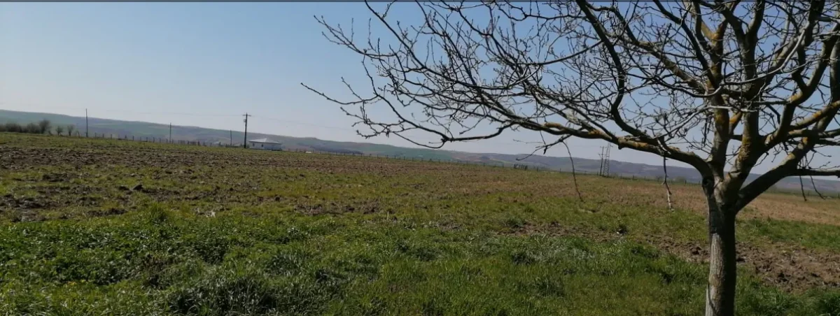 Kırkkepenekli K&ouml;y&uuml;nde Satılık &Ccedil;iftlik Evi - Büyük 10