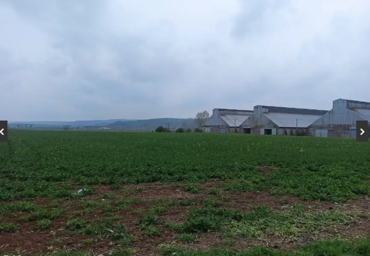 Tekirdağ Muratlı Turan Mahallesinde Satılık Arsa - Büyük 1