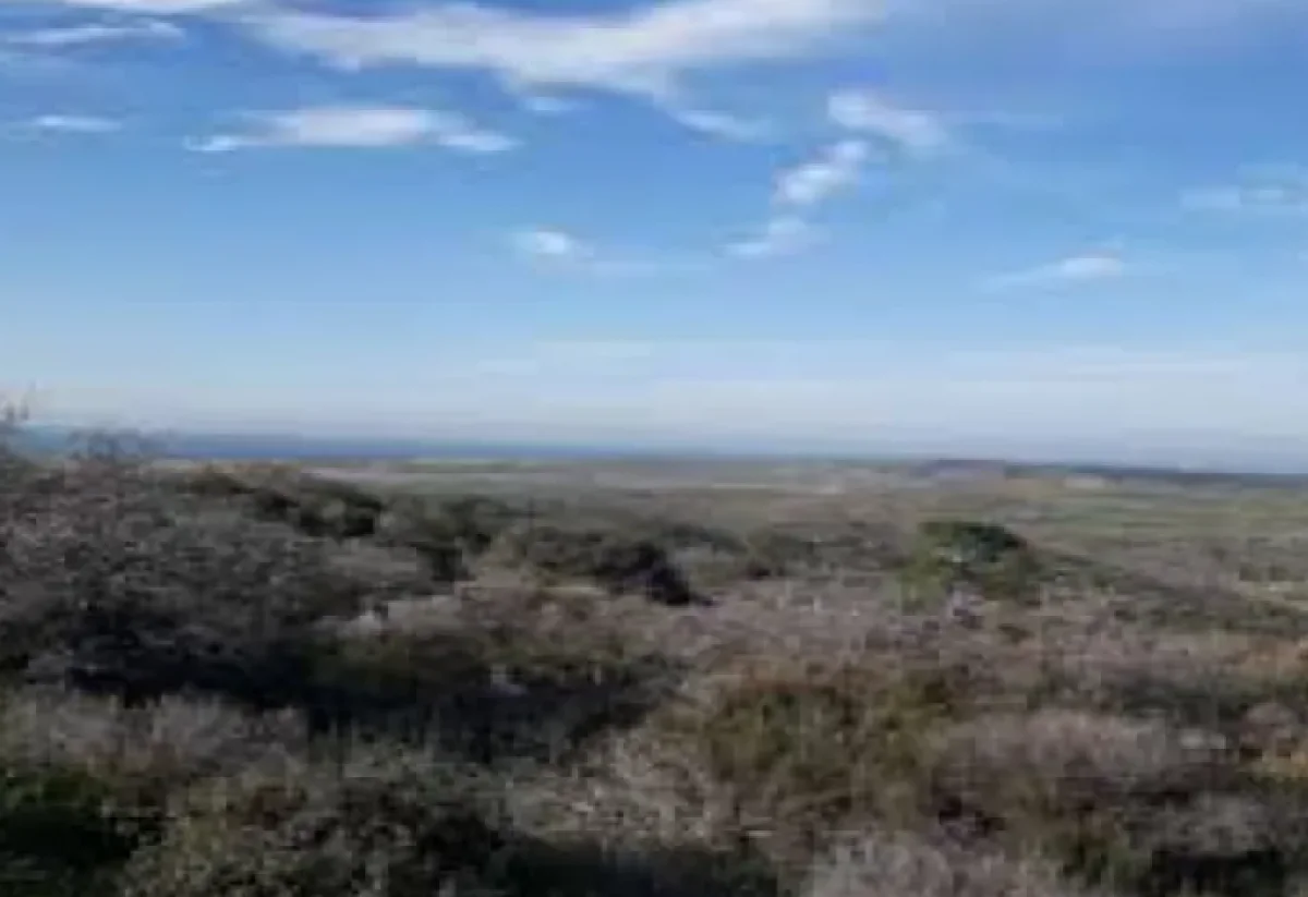 &Ccedil;anakkale Ezine'de Satılık Tarla