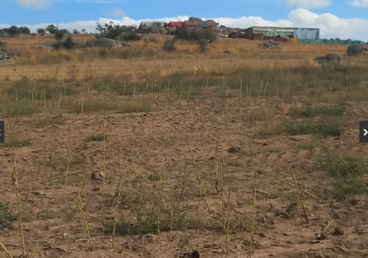 Edirne S&uuml;loğlu Tatarlar K&ouml;y&uuml;'nde Satılık 9.739m2 Tarla - Büyük 1