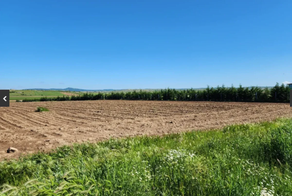 S&uuml;loğlu Tatarlar 'da &Ccedil;iftliğe Uygun 6095m2 Tarla - Büyük 1