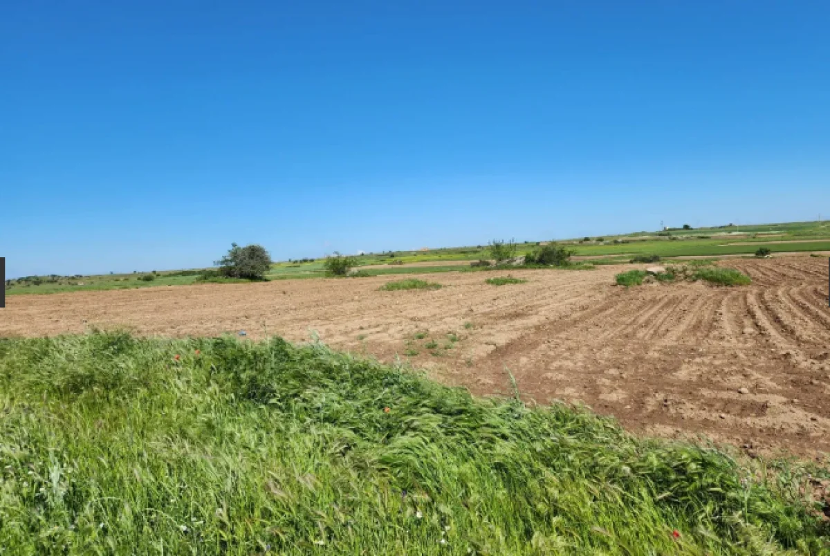 S&uuml;loğlu Tatarlar 'da &Ccedil;iftliğe Uygun 6095m2 Tarla - Büyük 3