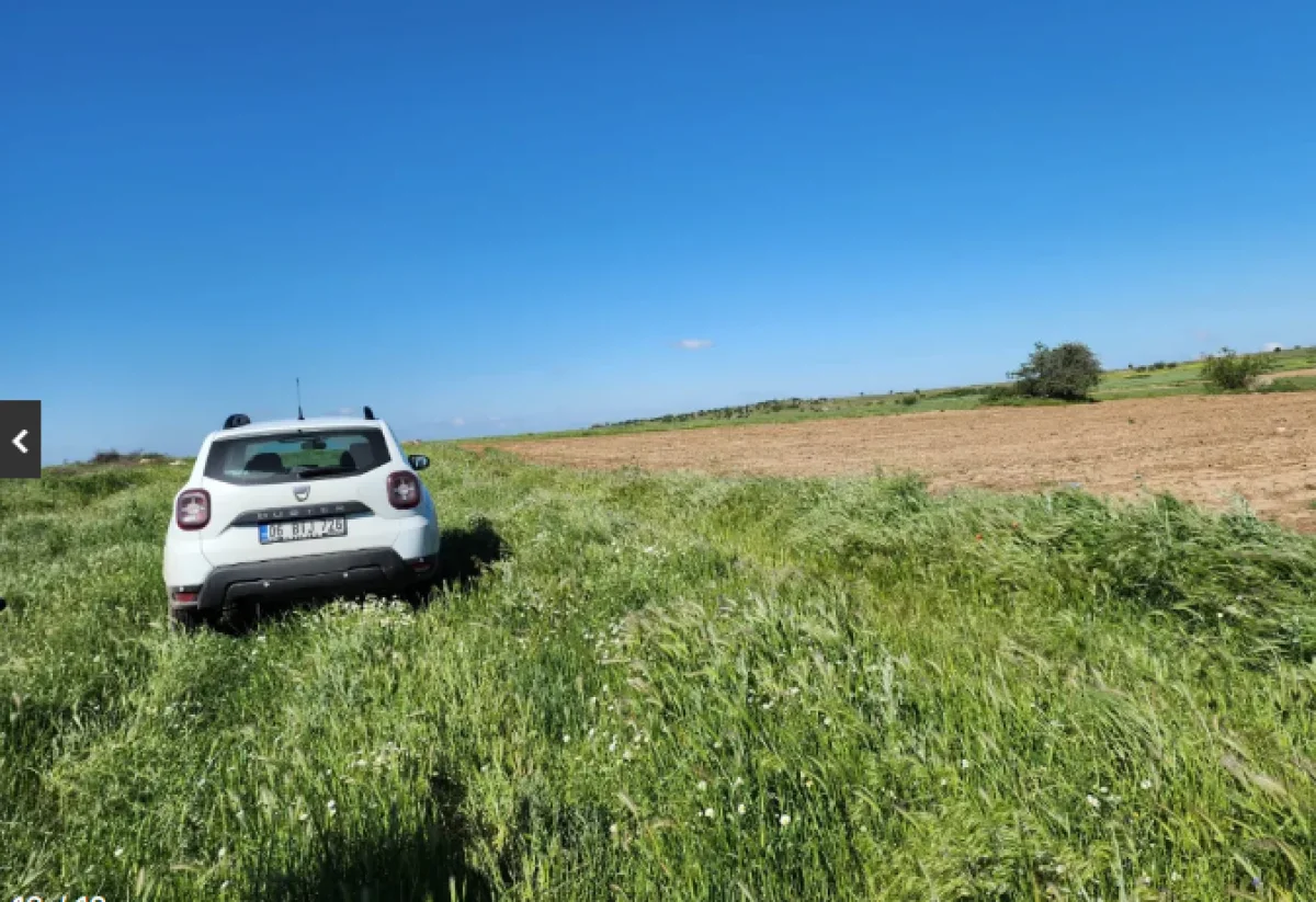 S&uuml;loğlu Tatarlar 'da &Ccedil;iftliğe Uygun 6095m2 Tarla - Büyük 4