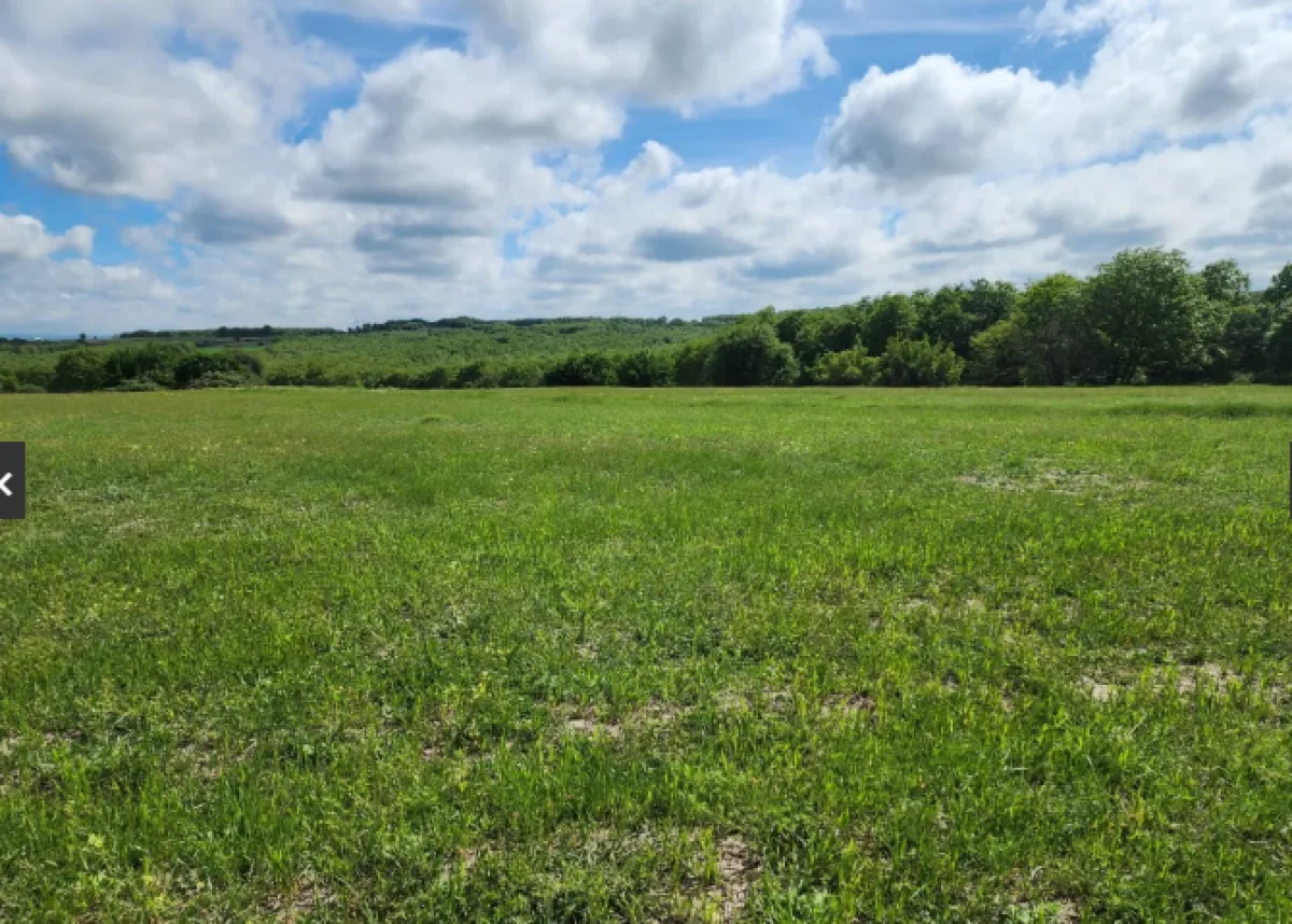 Silivri &Ccedil;ayırdere'de Satılık Tarla - Büyük 1