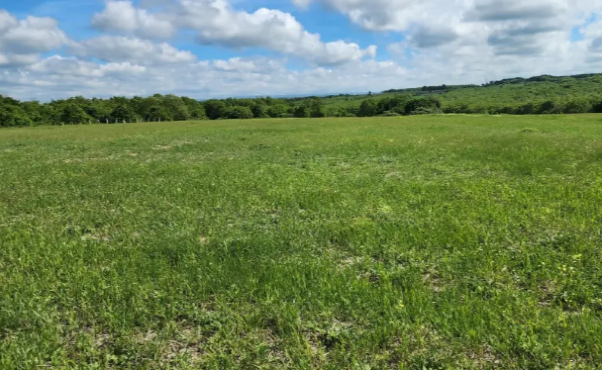 Silivri &Ccedil;ayırdere'de Satılık Tarla - Büyük 3