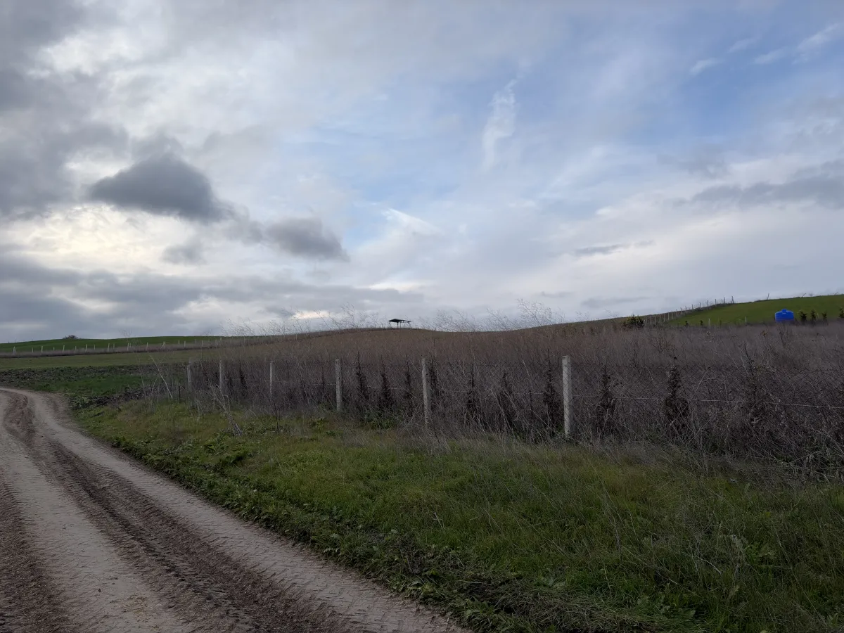 Silivri Değirmenk&ouml;y'de 2714M2 M&uuml;stakil Tapulu Tarla - Büyük 0