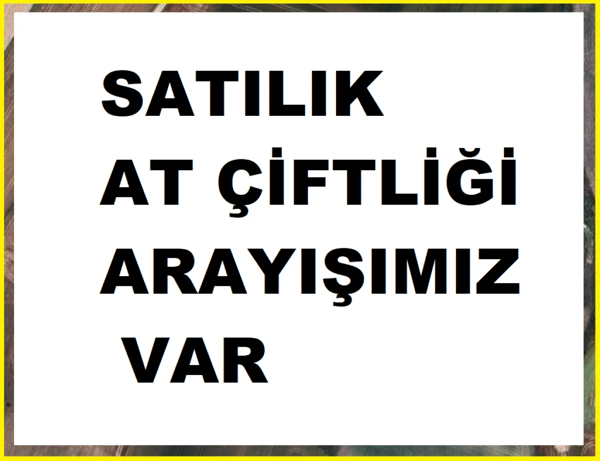 Silivri &Ccedil;atalca'da At &Ccedil;iftliği Arayışımız Var