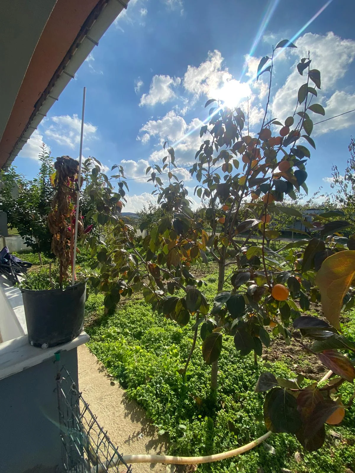 SİLİVRİ  DEĞİRMENK&Ouml;Y 3+1 M&Uuml;STAKİL BAH&Ccedil;ELİ SATILIK ARSA + EV - Büyük 14