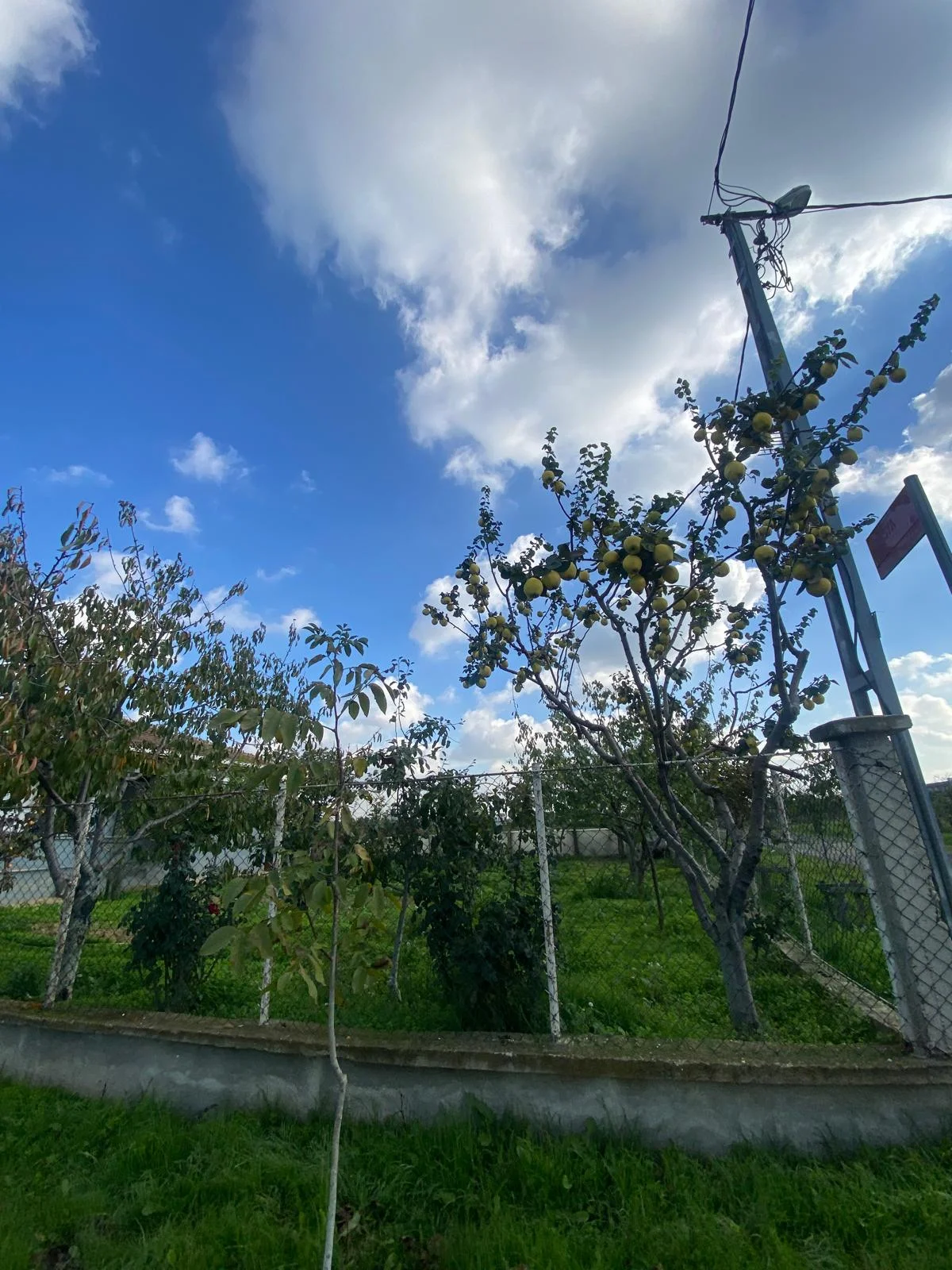 SİLİVRİ  DEĞİRMENK&Ouml;Y 3+1 M&Uuml;STAKİL BAH&Ccedil;ELİ SATILIK ARSA + EV - Büyük 19