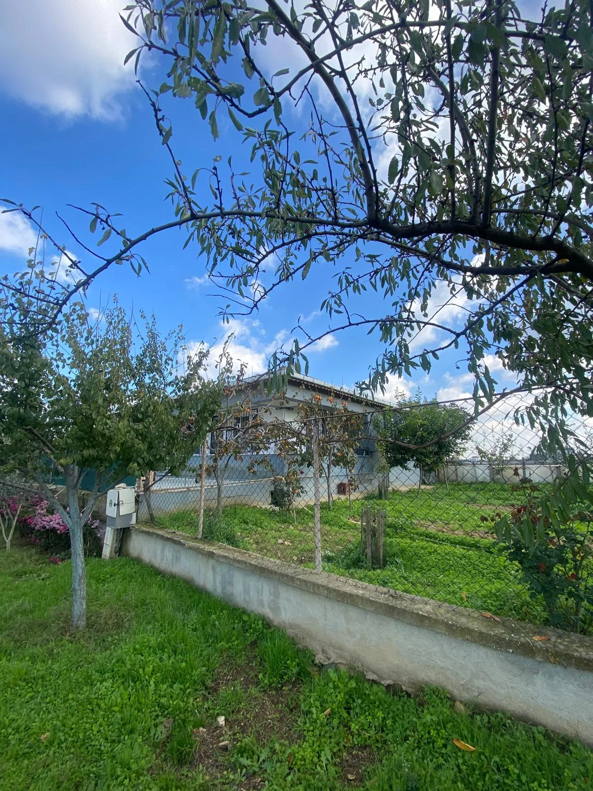 SİLİVRİ  DEĞİRMENK&Ouml;Y 3+1 M&Uuml;STAKİL BAH&Ccedil;ELİ SATILIK ARSA + EV - Büyük 20