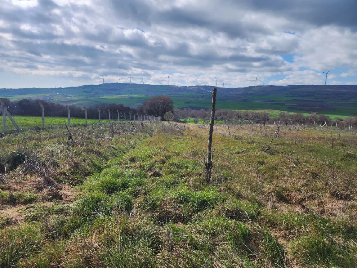 Silivri &Ccedil;eltikte 9.935 M&sup2; Satılık Tarla &Ccedil;iftlige Uygun - Büyük 4