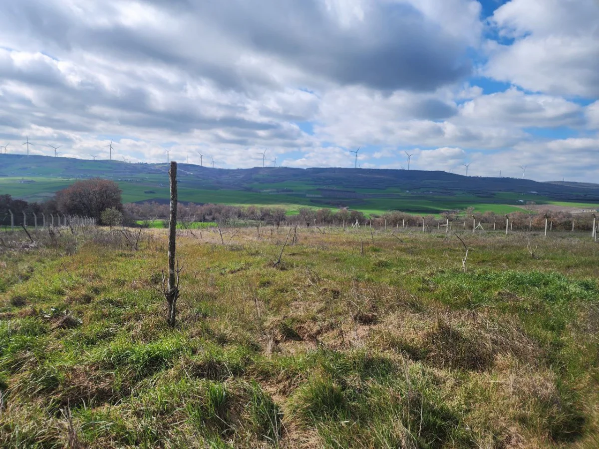 Silivri &Ccedil;eltikte 9.935 M&sup2; Satılık Tarla &Ccedil;iftlige Uygun - Büyük 5