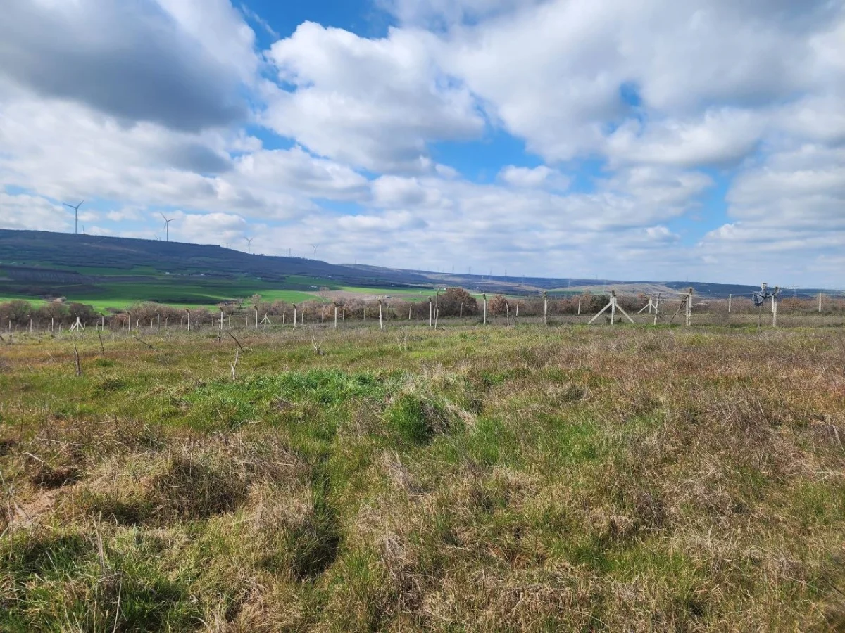 Silivri &Ccedil;eltikte 9.935 M&sup2; Satılık Tarla &Ccedil;iftlige Uygun - Büyük 6