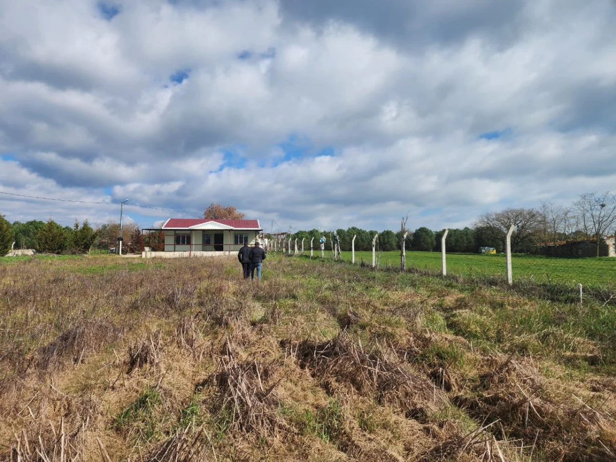 Silivri &Ccedil;eltikte 9.935 M&sup2; Satılık Tarla &Ccedil;iftlige Uygun - Büyük 9