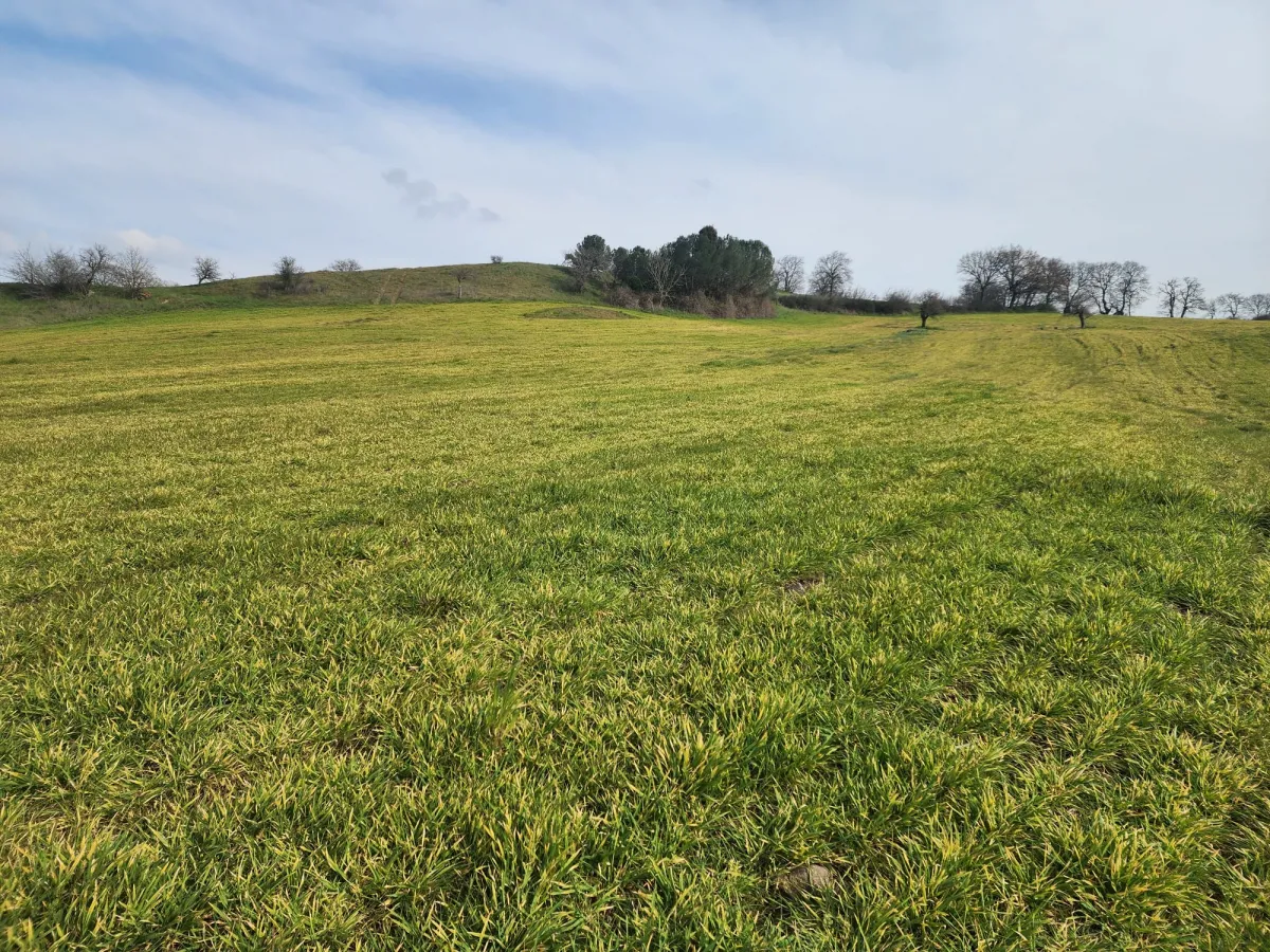 🚨 &Ccedil;ANAKKALE &Ccedil;AN'DA ACİL SATILIK DEV FIRSAT SATILIK TARLA - Büyük 1