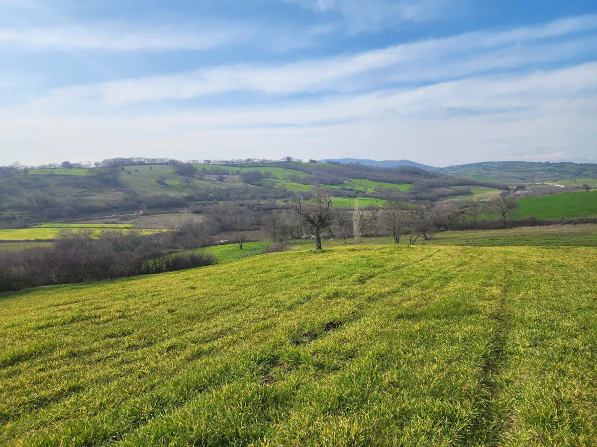 🚨 &Ccedil;ANAKKALE &Ccedil;AN'DA ACİL SATILIK DEV FIRSAT SATILIK TARLA - Büyük 2