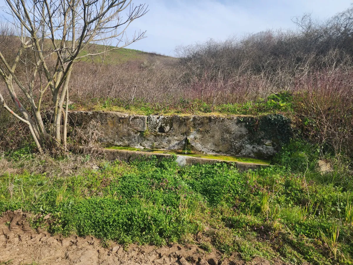 🚨 &Ccedil;ANAKKALE &Ccedil;AN'DA ACİL SATILIK DEV FIRSAT SATILIK TARLA - Büyük 3