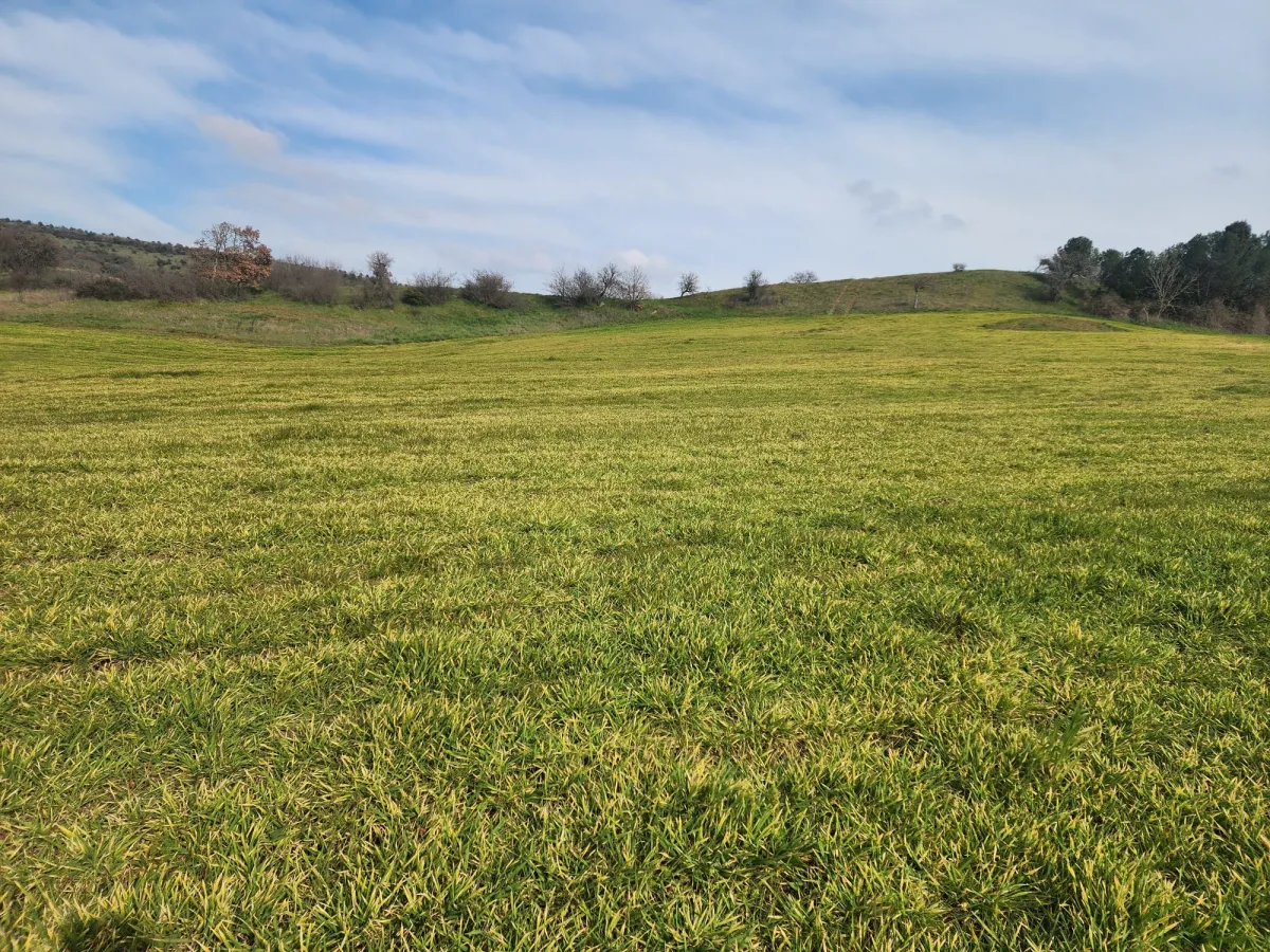 🚨 &Ccedil;ANAKKALE &Ccedil;AN'DA ACİL SATILIK DEV FIRSAT SATILIK TARLA - Büyük 4