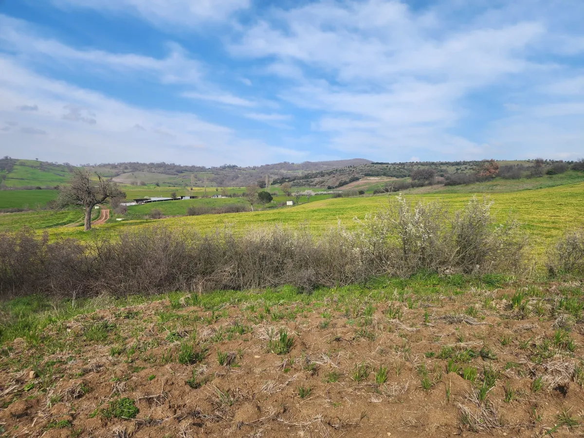 🚨 &Ccedil;ANAKKALE &Ccedil;AN'DA ACİL SATILIK DEV FIRSAT SATILIK TARLA - Büyük 6