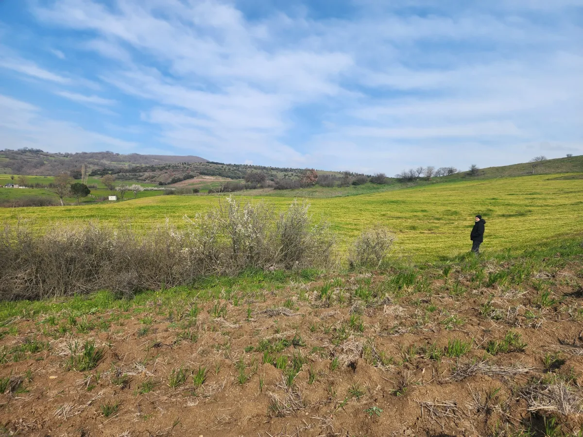 🚨 &Ccedil;ANAKKALE &Ccedil;AN'DA ACİL SATILIK DEV FIRSAT SATILIK TARLA - Büyük 7