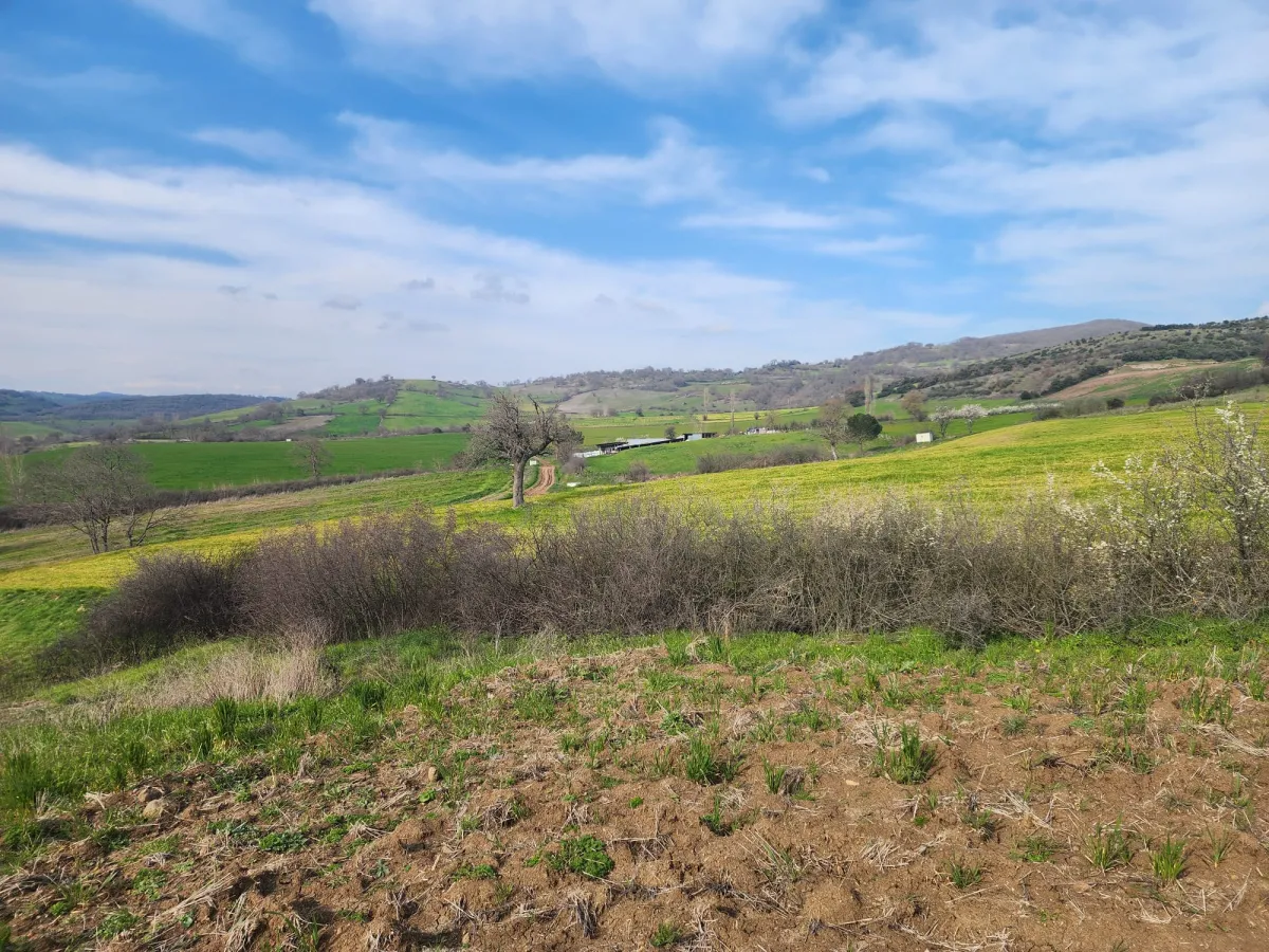 🚨 &Ccedil;ANAKKALE &Ccedil;AN'DA ACİL SATILIK DEV FIRSAT SATILIK TARLA - Büyük 8