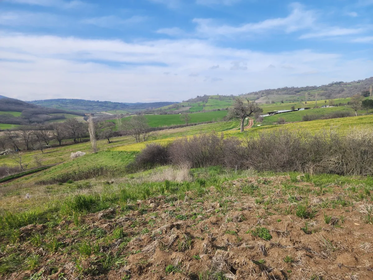 🚨 &Ccedil;ANAKKALE &Ccedil;AN'DA ACİL SATILIK DEV FIRSAT SATILIK TARLA - Büyük 9