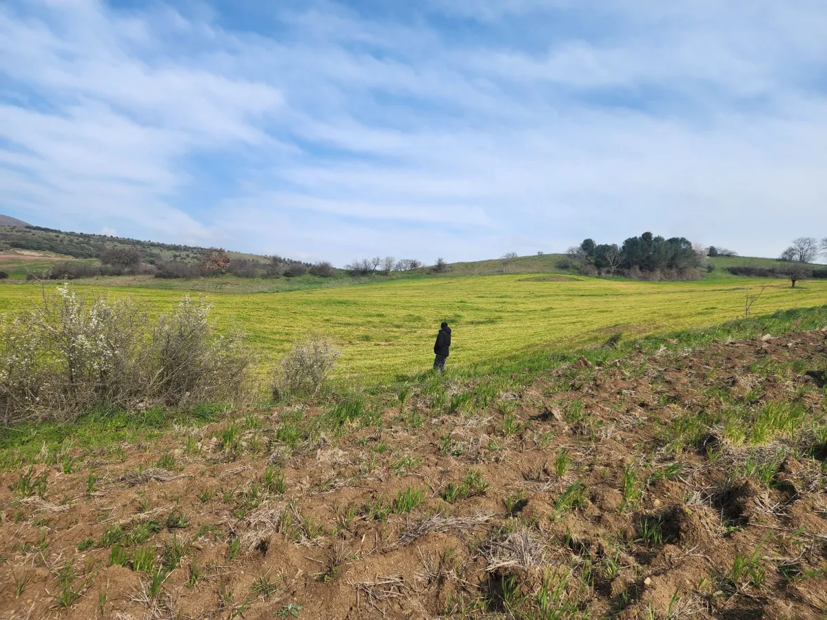 🚨 &Ccedil;ANAKKALE &Ccedil;AN'DA ACİL SATILIK DEV FIRSAT SATILIK TARLA - Büyük 10