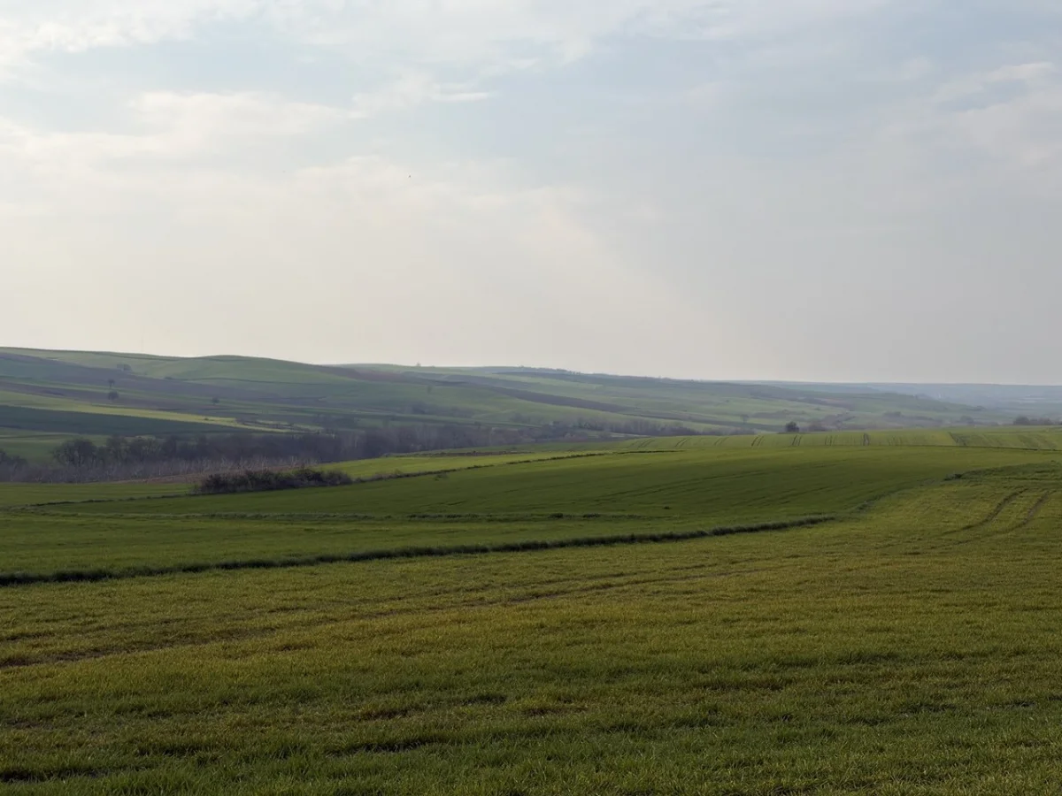 🚨 TEKİRDAĞ MURATLI BALABANLI'DA YATIRIMLIK DEV FIRSAT: 8.400 m&sup2; - Büyük 4