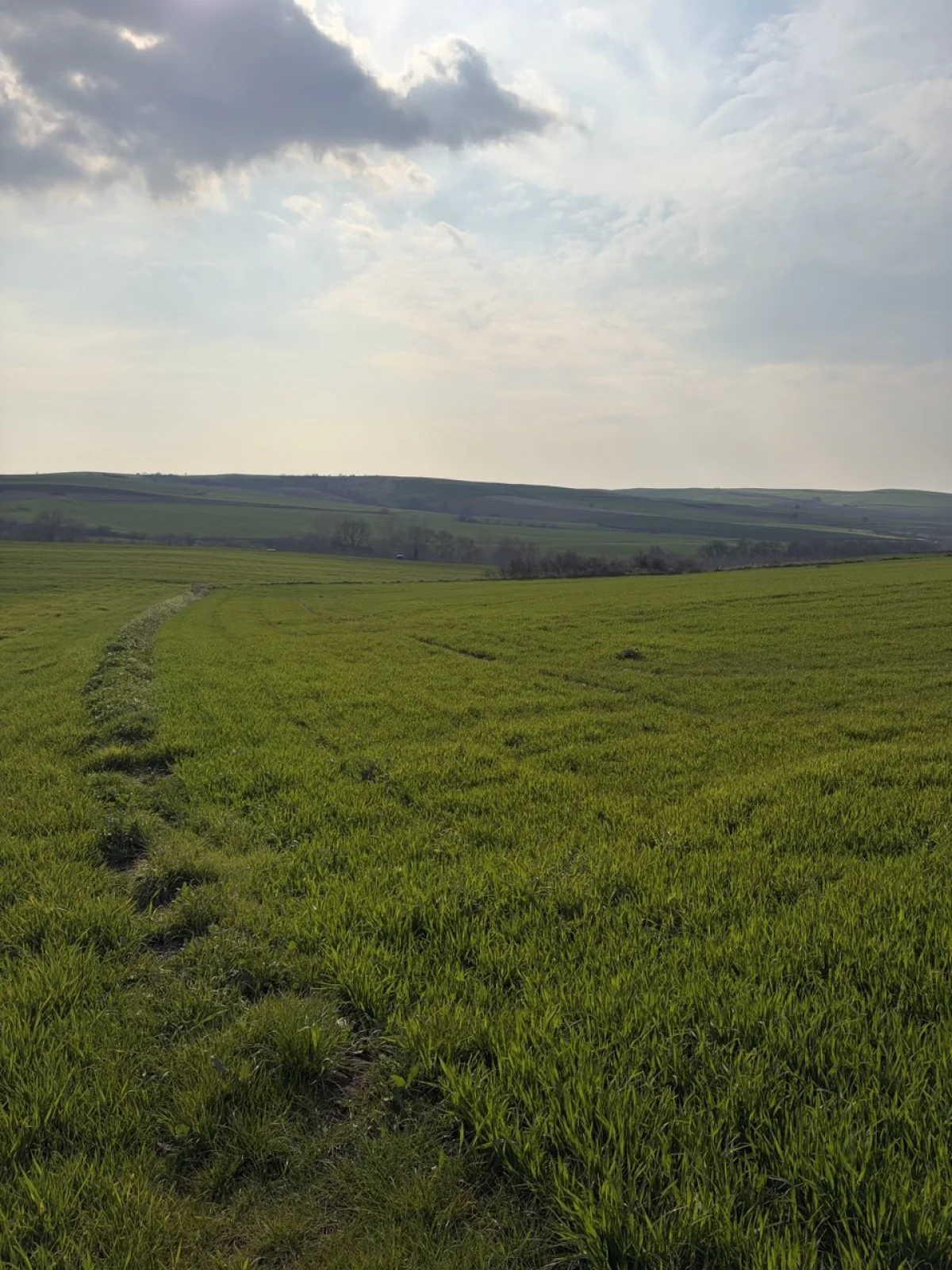 🚨 TEKİRDAĞ MURATLI BALABANLI'DA YATIRIMLIK DEV FIRSAT: 8.400 m&sup2; - Büyük 6