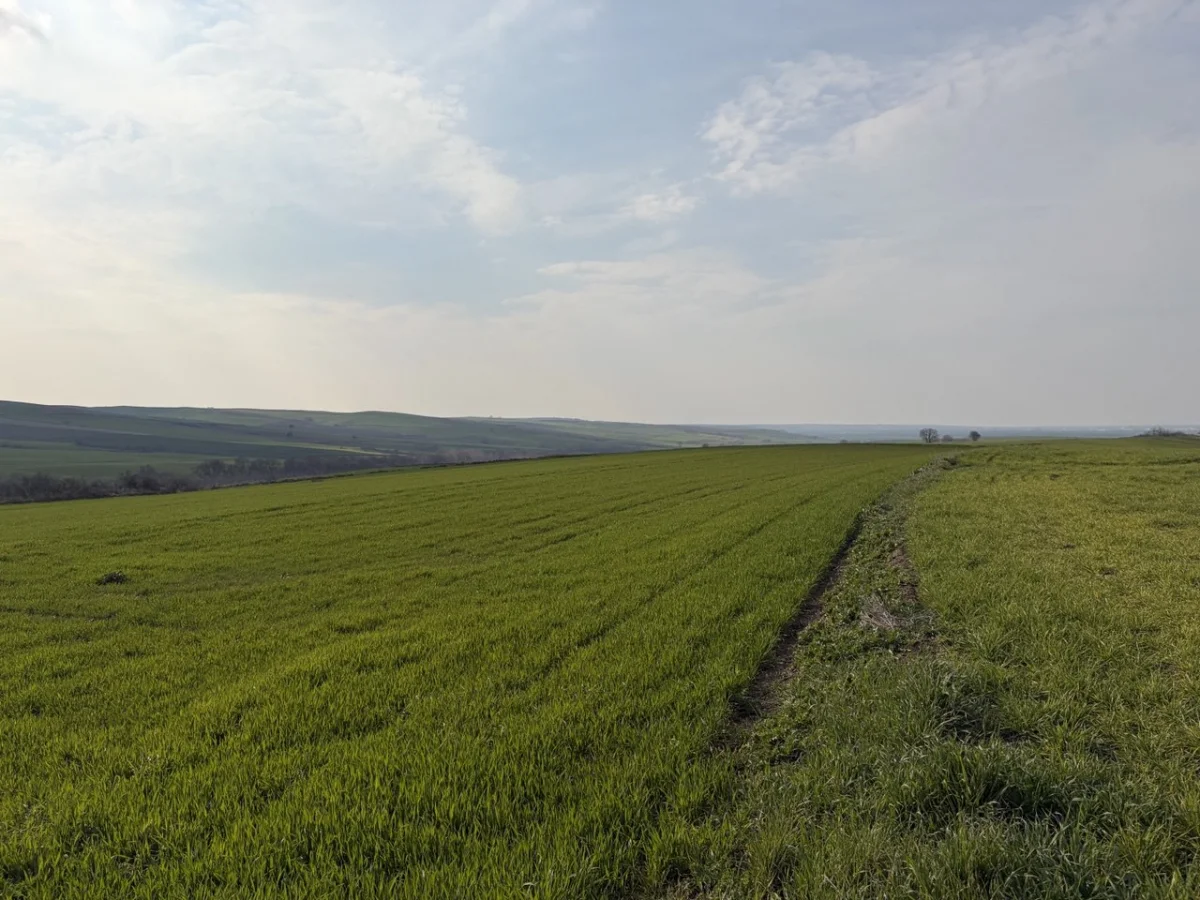 🚨 TEKİRDAĞ MURATLI BALABANLI'DA YATIRIMLIK DEV FIRSAT: 8.400 m&sup2; - Büyük 8