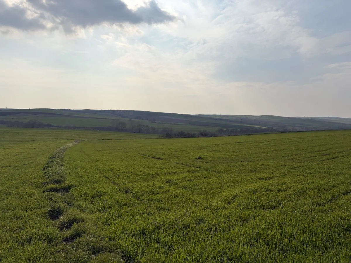 🚨 TEKİRDAĞ MURATLI BALABANLI'DA YATIRIMLIK DEV FIRSAT: 8.400 m&sup2; - Büyük 9