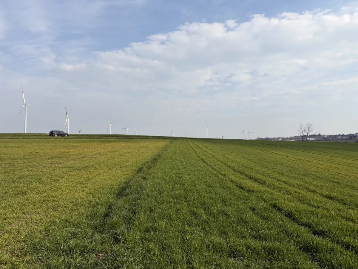 🚨 TEKİRDAĞ MURATLI BALABANLI'DA YATIRIMLIK DEV FIRSAT: 8.400 m&sup2; - Büyük 10